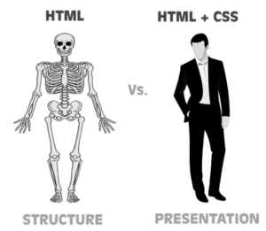 HTML vs CSS